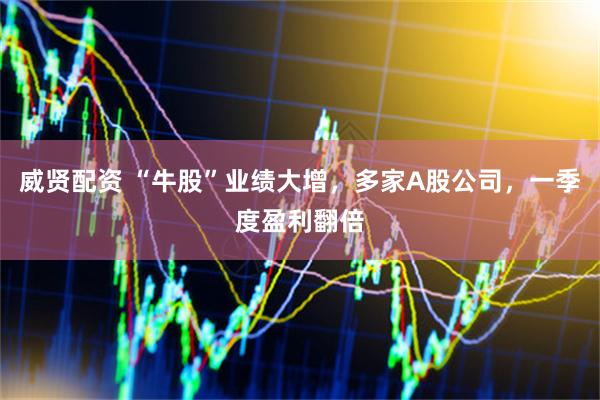 威贤配资 “牛股”业绩大增，多家A股公司，一季度盈利翻倍